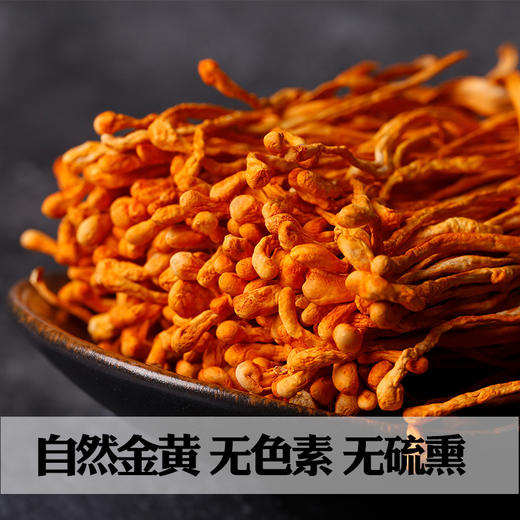 【批发代加工】菌妍虫草花干货虫草干菌菇干货批发东北特产新货 商品图2