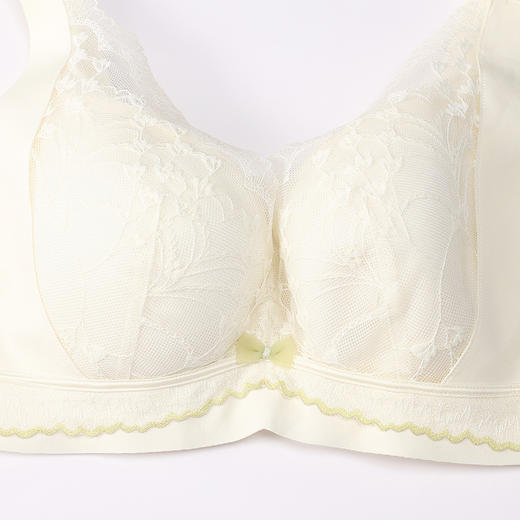 都市丽人内衣完美包容常规文胸蕾丝超薄文胸3/4杯四排扣软钢圈LBT2S2 商品图4