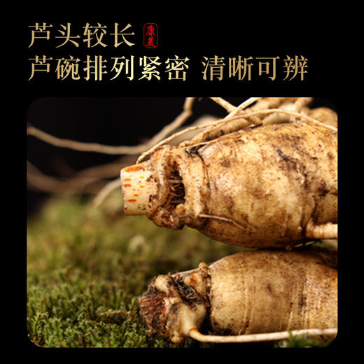 【欢享装】康美药业新开河鲜人参180g/盒（约4~5根）吉林新开河顺丰直邮人参茶饮煲汤送礼自用 商品图2