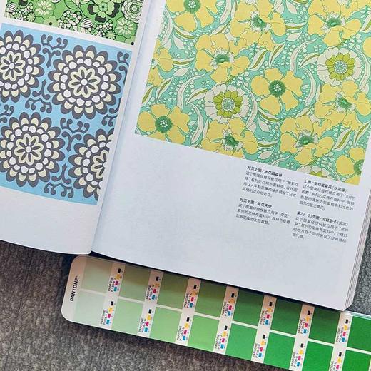 设计新经典——世界插画图案集：100位当代设计室的图案设计创意([英]鲍伊风尚) 商品图3