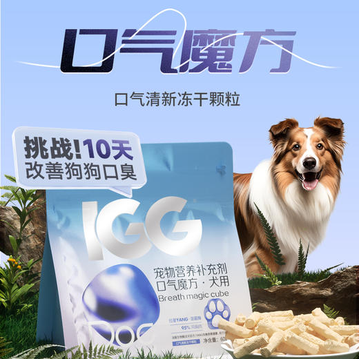 MAG&IGG 【口气魔方】口气清新 除口臭 抑菌洁齿鸡肉冻干颗粒 商品图1