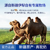 24年新款那拉融臻全脂驼乳粉无添加无蔗糖新疆原产真驼奶儿童中老年驼奶300g（20gx15条） 商品缩略图2