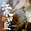 【分销】稻田里的甲鱼 农家户外稻田河流自然生长精品高品质鳖 商品缩略图8