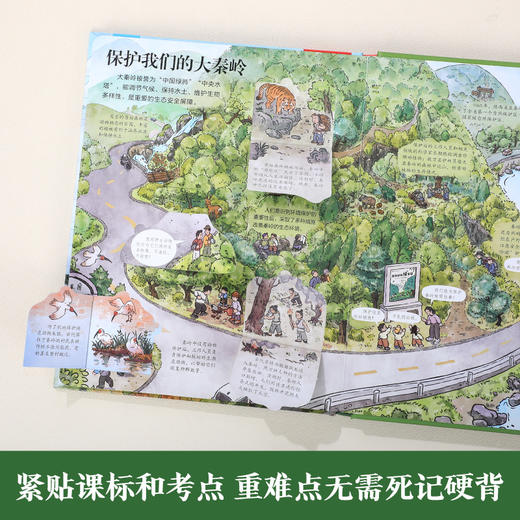 【乐乐趣69元任选3本】《揭秘大秦岭》（全方位展示大秦岭风貌，展示其滋养生生不息的中华文化的过程（5-12岁） 商品图5