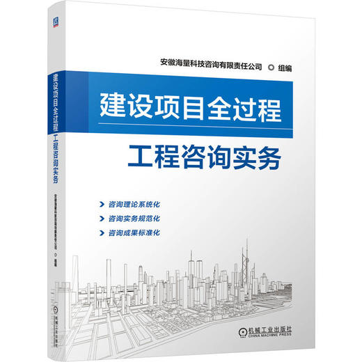 建设项目全过程工程咨询实务 商品图0