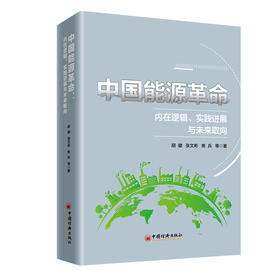中国能源革命：内在逻辑、实践进展与未来取向9787513678117中国经济出版社