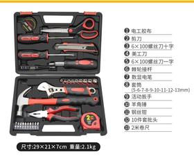 瑞德  31pc精品家用工具022031