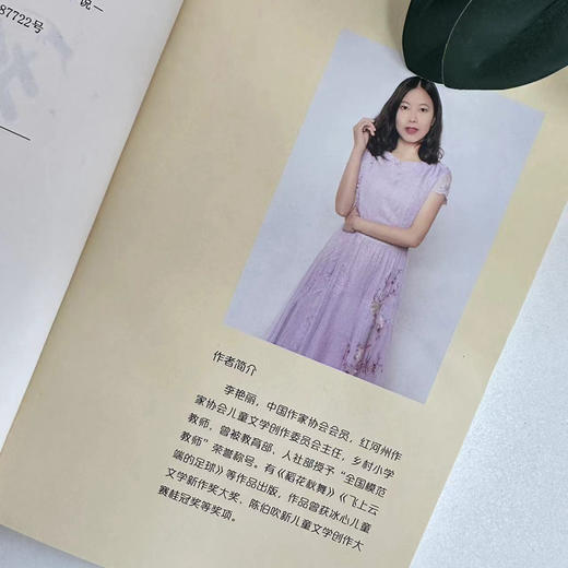 闹猴儿(李艳丽) 商品图3