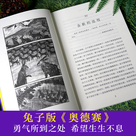 【10岁+】长青藤国际大奖小说书系·兔子共和国（全2册） 商品图3