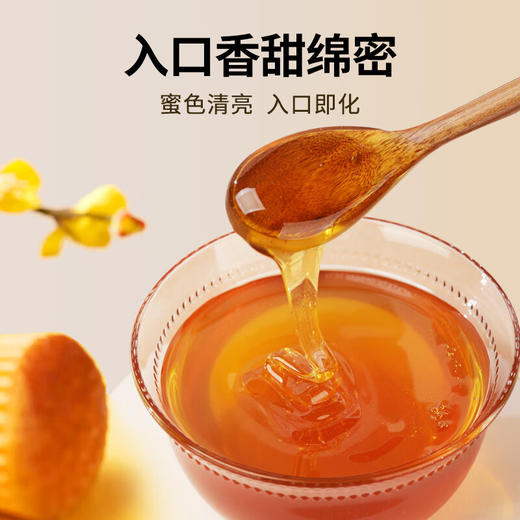 中粮山萃枣花成熟蜜500g 商品图5