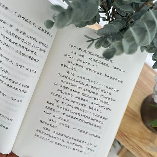 闹猴儿(李艳丽) 商品图4