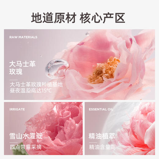 元气达人大马士革玫瑰艾灸贴 商品图2