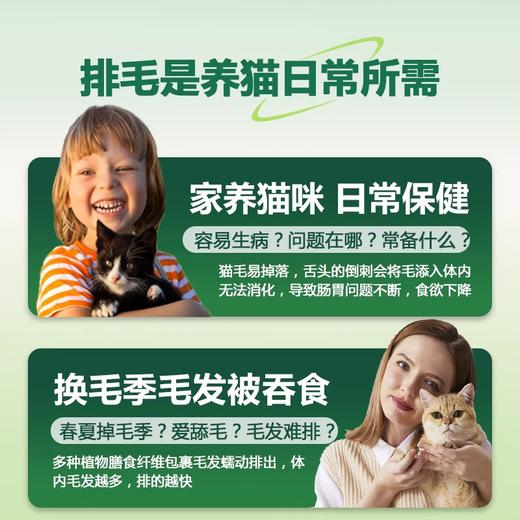 【积分商城】WOAO猫草片化毛球片猫咪专用植物膳食护肠胃助消化宠物营养补充剂 商品图1