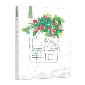 自然笔记：微小的春天(毛芦芦)