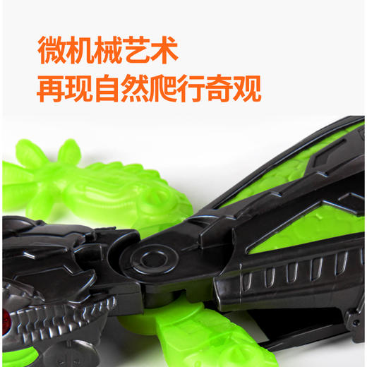 赫宝（HEXBUG）【科技创意季】机器虫仿生机器虫机械大师遥控动物儿童玩具男孩女 【遥控壁虎】USB充电 商品图8