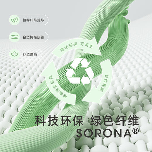 英氏【夏季短袖】童装T恤透气男童女童上衣套头衫外出百搭新款 商品图4