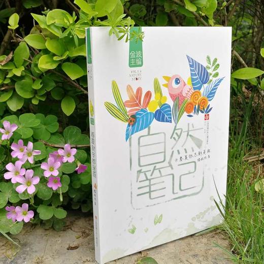 自然笔记：春夏秋冬都是画(滕毓旭) 商品图2
