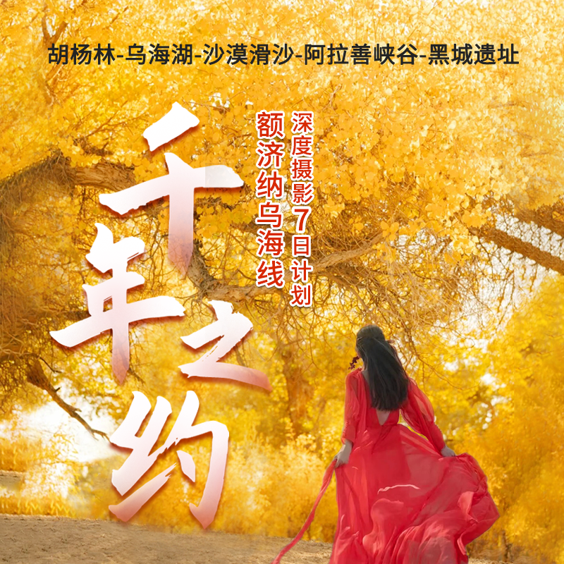 【额济纳乌海线】胡杨林深度摄影-乌海湖-沙漠滑沙-阿拉善峡谷-大同城遗址7日计划