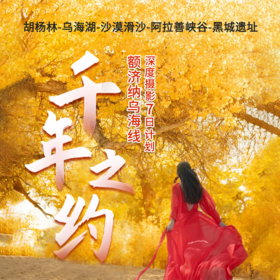 【额济纳乌海线】胡杨林深度摄影-乌海湖-沙漠滑沙-阿拉善峡谷-大同城遗址7日计划