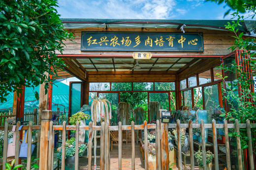 武汉慢姑娘红兴雅苑轰趴馆 商品图11