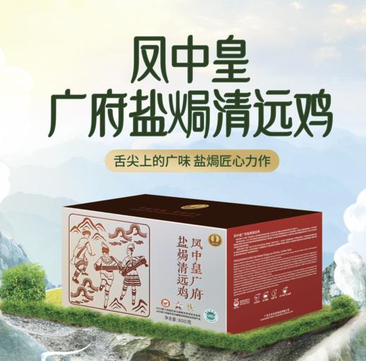 凤中皇广府盐焗清远鸡800g 巴拿马礼盒限定 商品图0