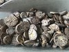 特价！有虫眼槟榔 片  低价处理（介意者慎拍）1公斤1份~ 商品缩略图1