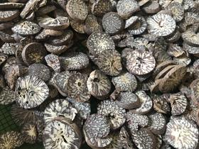 特价！有虫眼槟榔 片  低价处理（介意者慎拍）1公斤1份~