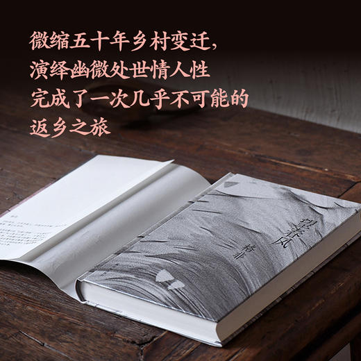 望春风 商品图2