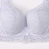 都市丽人内衣自然舒适常规文胸蕾丝薄文胸3/4杯三排扣无钢圈LBTAA4 商品缩略图4