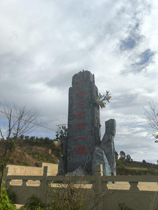 周五配送！石榴中的爱马仕～会理软籽石榴，圆润饱满，红透晶莹，籽都能吃，一咬爆汁！单果1-1.2斤，4个一组 商品图2