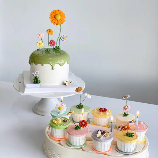 向阳新生 商品图3