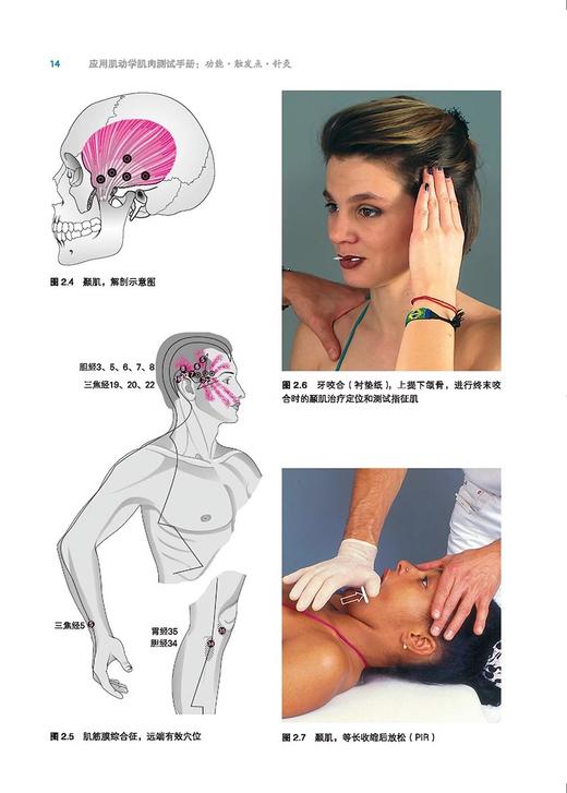 应用肌动学肌肉测试手册 功能 触发点 针灸 第3版 汉斯加藤著 供整骨医生神经科医生综合医学等人员北京科学技术出版9787571423513 商品图4