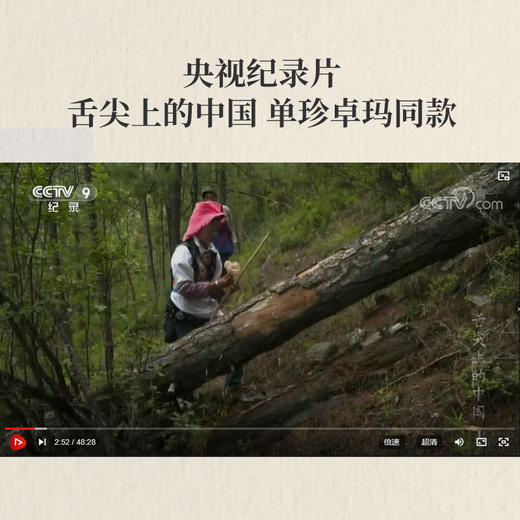 单珍卓玛手摘 香格里拉 鲜松茸 500g/1000g 商品图3