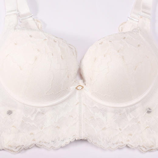 都市丽人调整型内衣美体纤塑塑身文胸蕾丝加厚塑身内衣3/4杯五排扣LJT1M6 商品图6