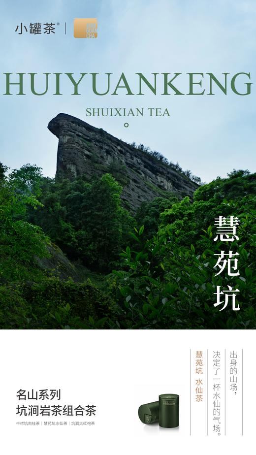 小罐茶名山系列坑涧岩茶大红袍肉桂水仙组合茶叶礼盒装送礼长辈，名山系列·坑涧岩茶组合茶9罐装 商品图5