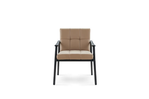 芬恩 餐椅 | 皮布面料可选，详询客服 商品图1