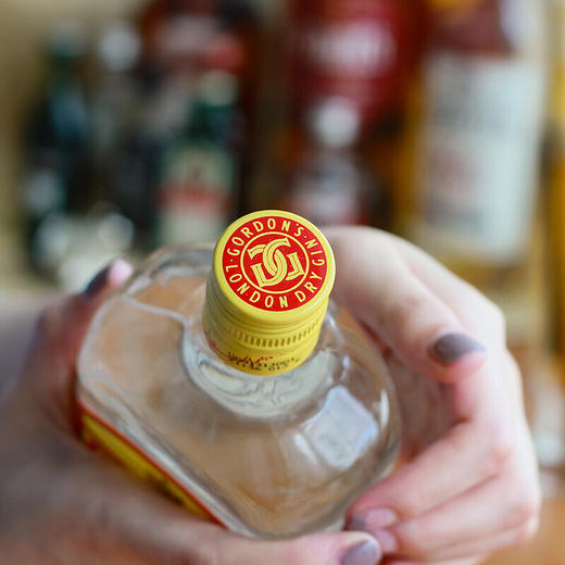 南非哥顿金酒 杜松子酒伦敦干味毡酒 商品图2