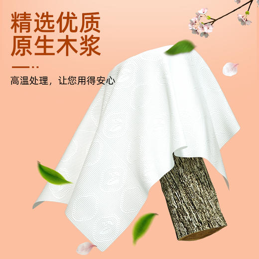 柔贝诗梵高款&樱花系列抽纸 商品图7