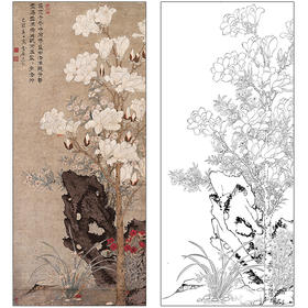 孙克弘花鸟工笔画白描底稿《玉堂芝兰图》临摹勾线高清打印稿MD20