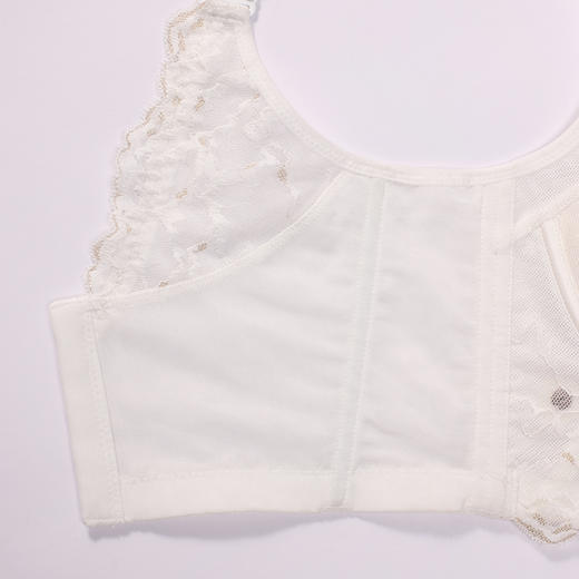 都市丽人调整型内衣美体纤塑塑身文胸蕾丝加厚塑身内衣3/4杯五排扣LJT1M6 商品图9