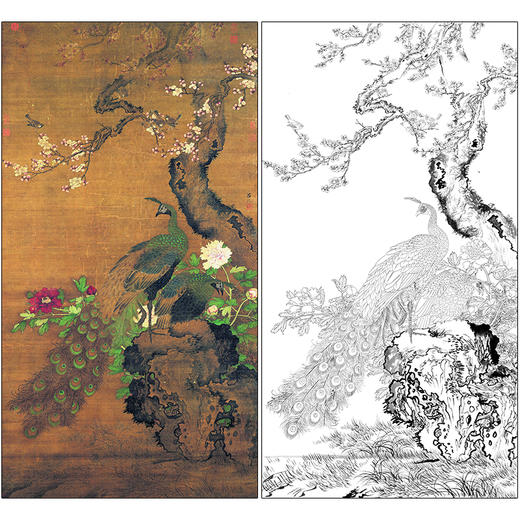 吕纪花鸟工笔画白描底稿《杏花孔雀图》临摹勾线高清打印稿MD15 商品图0
