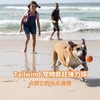 Waboba Tailwind狗狗高弹球耐咬磨牙中大型犬宠物飞盘玩具套装 商品缩略图0