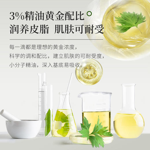 蕲艾厚朴精油10ml瓶装 商品图5