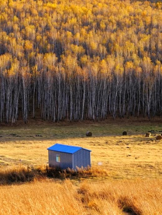 呼伦贝尔+阿尔山蘑阿公路  9日游 商品图0