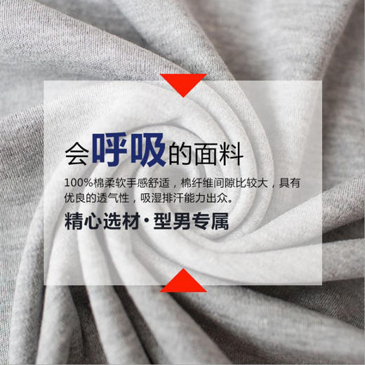 雀说 【2条装】男士秋裤纯棉修身纯色保暖裤薄款棉毛裤 商品图3