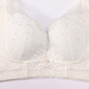 都市丽人调整型内衣美体纤塑塑身文胸蕾丝BC:薄塑身内衣3/4杯四排扣LJT2M6 商品缩略图5