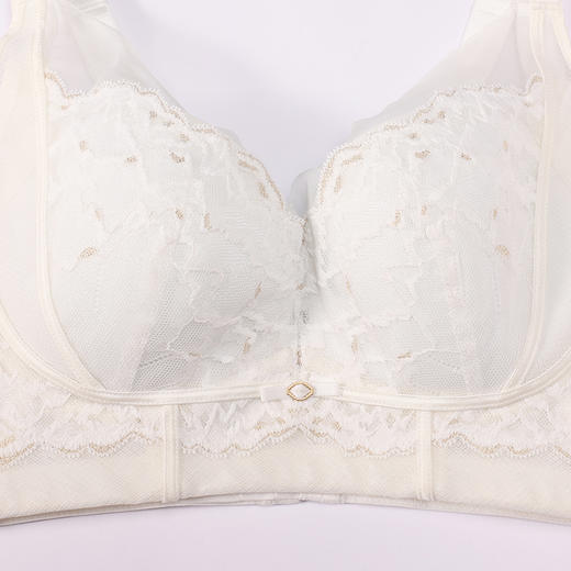 都市丽人调整型内衣美体纤塑塑身文胸蕾丝BC:薄塑身内衣3/4杯四排扣LJT2M6 商品图5