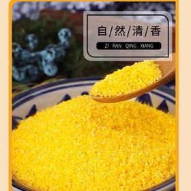 五常黄小米2.5kg真空装 黑龙江小黄米粥新米东北农家熬出米油