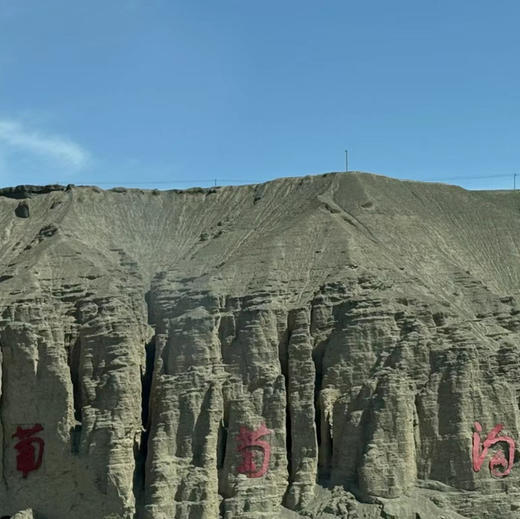 黑香妃葡萄是新疆特有的品种，老品种！甜度高，有淡淡香味，无籽，花青素含量比一般葡萄要高！净约4斤/箱 商品图4