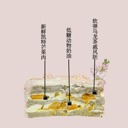 梦中乐园 商品图1